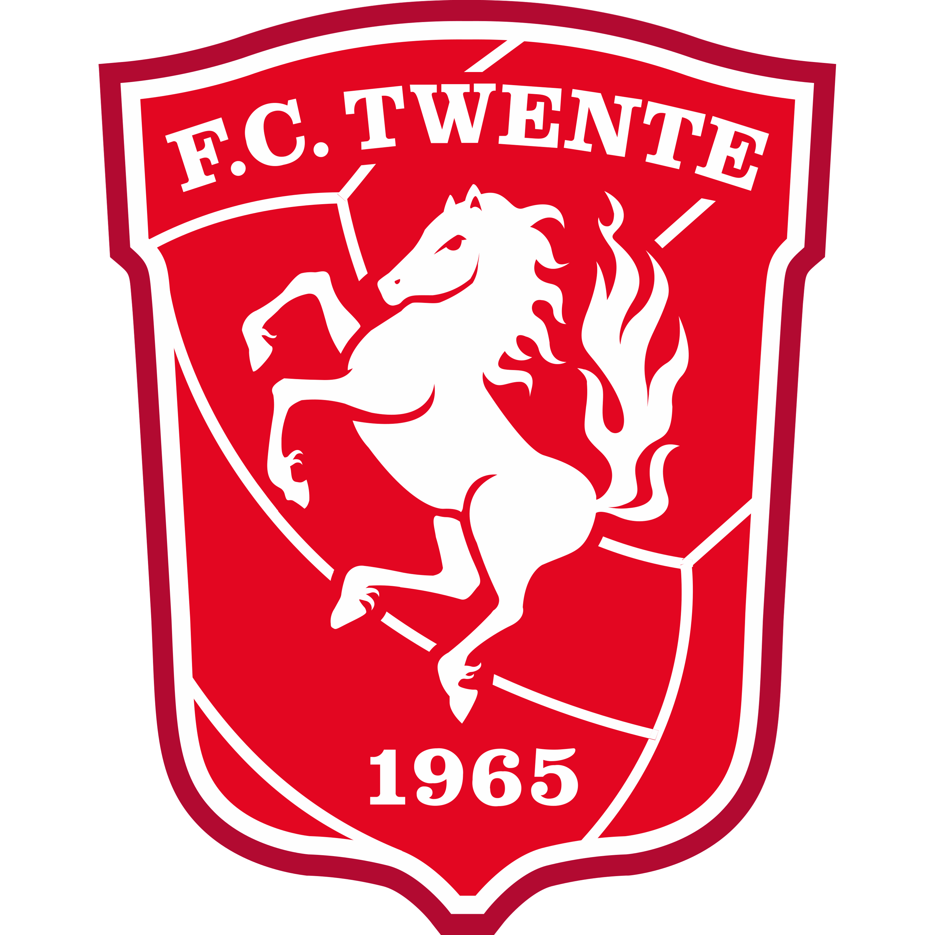 Twente