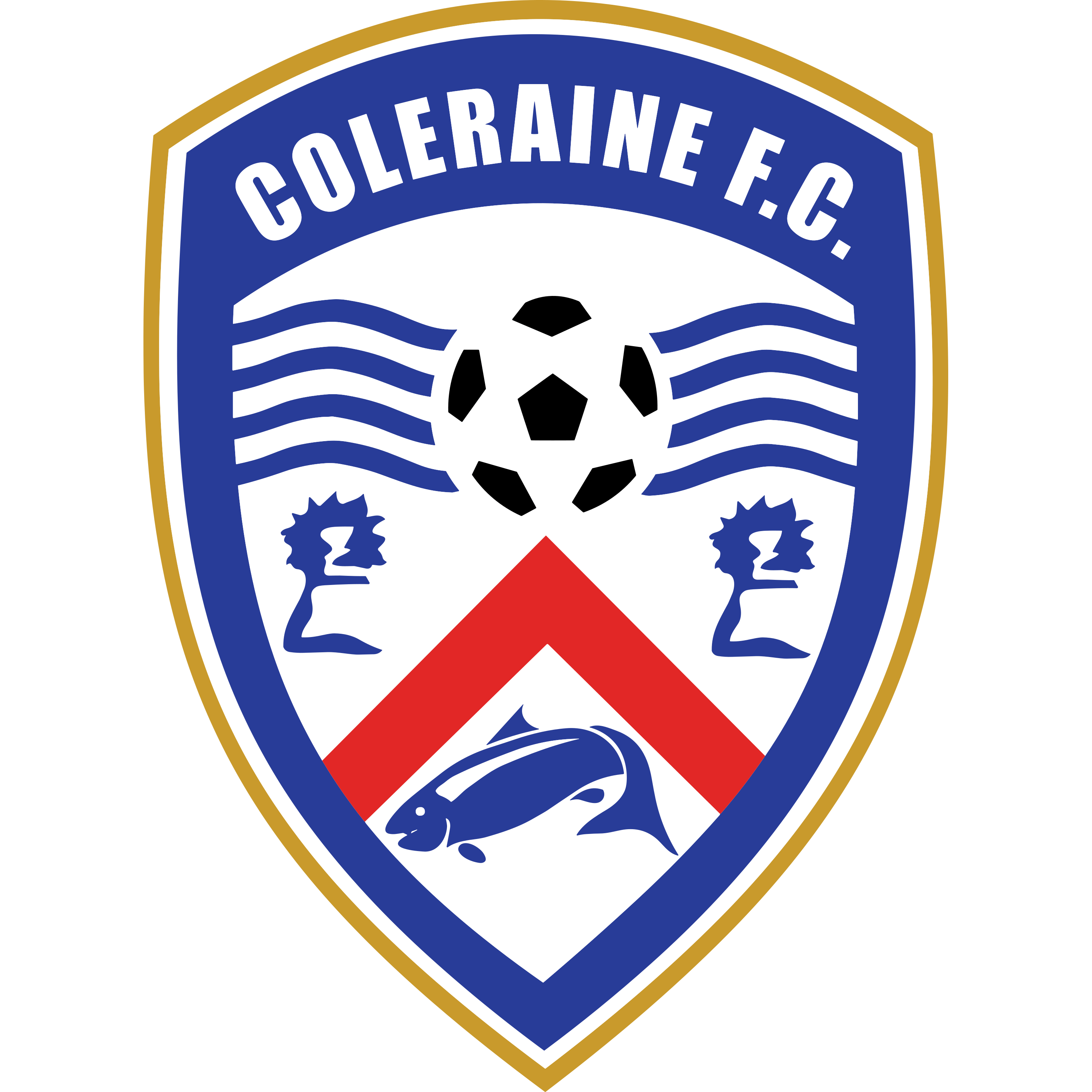 Coleraine FC